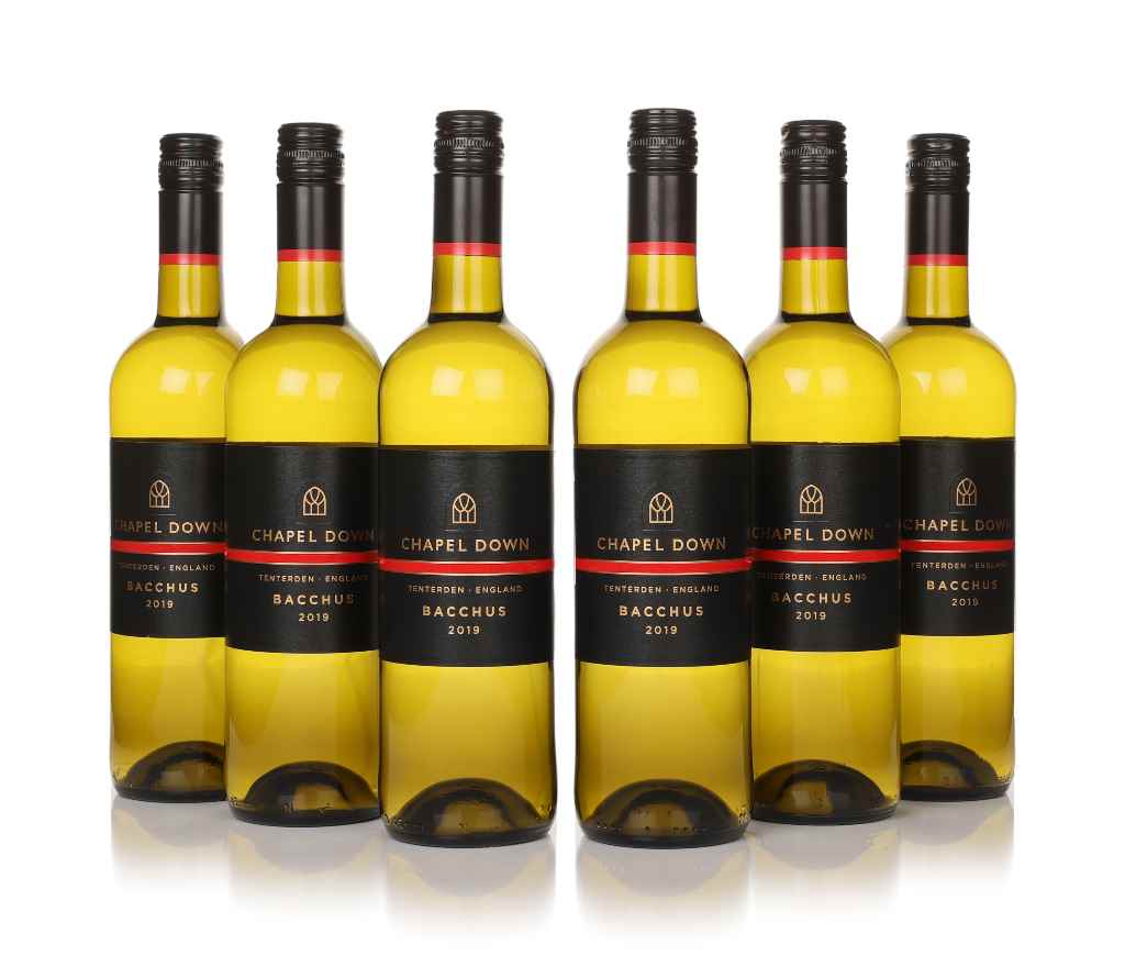 Chapel Down Bacchus 2019 Bundle 450cl product image