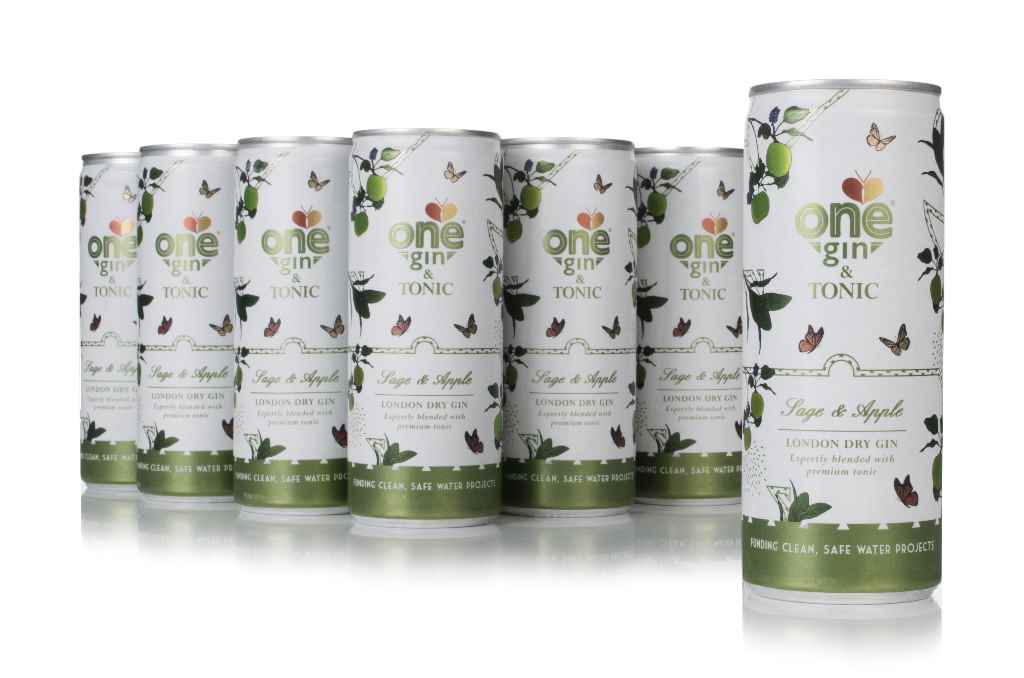 One Gin & Tonic – Sage & Apple (12 x 250ml) 300cl product image