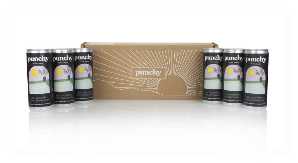 Punchy First Dip Hard Punch (6 x 250ml) 150cl product image