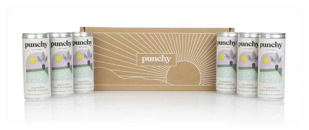 Punchy First Dip Soft Punch (6 x 250ml) 150cl product image