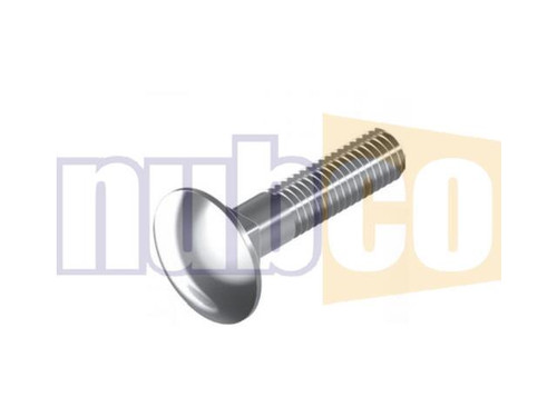 M10X100MM CUP HEAD BOLT S/S 316