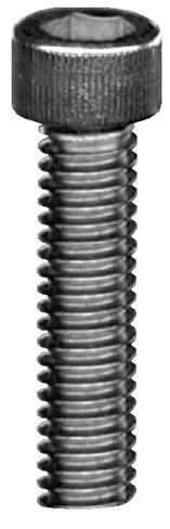 M6X60MM SHCS S/S 316