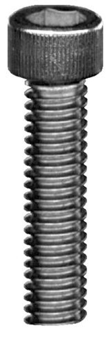 M8X100MM SHCS S/S 316