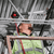 CHEATER ADAPTABLE PIPE WRENCH