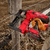 18V FUEL FENCING STAPLER - TOOL ONLY