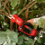 12V BRUSHLESS PRUNING SHEARS - TOOL ONLY 12V BRUSHLESS PRUNING SHEARS - TOOL ONLY