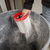 LRG WET/DRY HEPA VACUUM FILTER