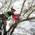 18V 12\" 305MM TOP HANDLE CHAINSAW - TOOL ONLY