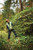 18V XR B/LESS POLE HEDGE TRIMMER - TOOL ONLY