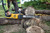 FLEXVOLT 54V 500MM CHAINSAW TOOL ONLY