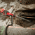 12V STICK TRANSFER PUMP - TOOL ONLY
