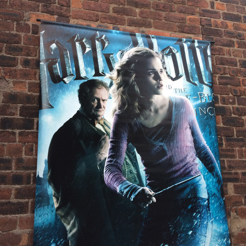 Harry Potter & The Half Blood Prince (2009)  HUGE Cinema poster featuring Hermione Granger & Professor Slughorn, played by Emma Watson & Jim Broadbent. Size approximately 153 cm x 240 cm