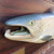 Large painted carved wood Salmon display mounted on board. 