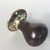 Hardwood pear shaped Edwardian door knob/handle with button top decoration.
