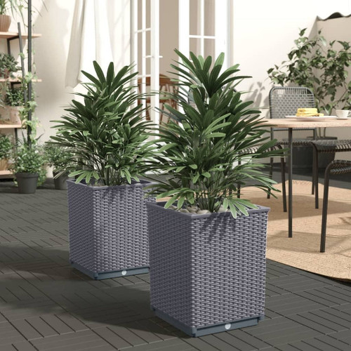 vidaXL Planters 2 pcs Dark Gray 11.8"x11.8"x14.6" Polypropylene