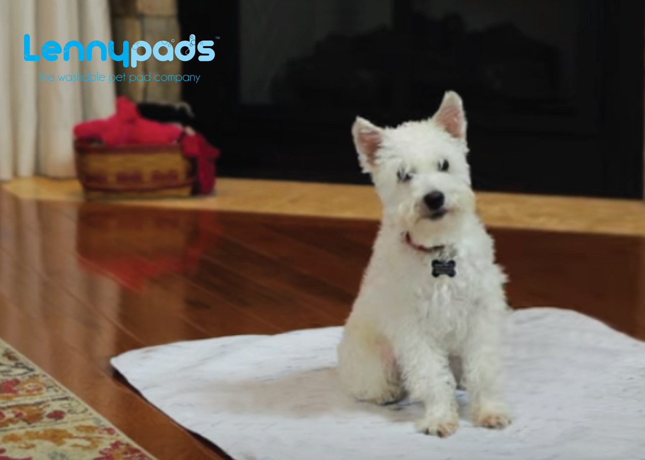 LENNYPADS Ultra Absorbent Washable Dog Pee Pads, White, Large: 23