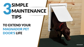 3 Simple Maintenance Tips to Extend Your Magnador Pet Door's Life