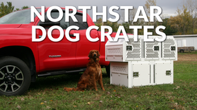 NorthStar Dog Crates: The Complete Guide to Choosing the Right Dog Transport Box for Your Vehicle NorthStar Dog Crates: The Complete Guide to Choosing the Right Dog Transport Box for Your Vehicle