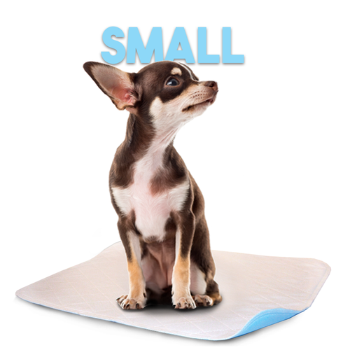 Lennypads 3636LP 36 x 36 in. 2XL Washable Pet Pad - White