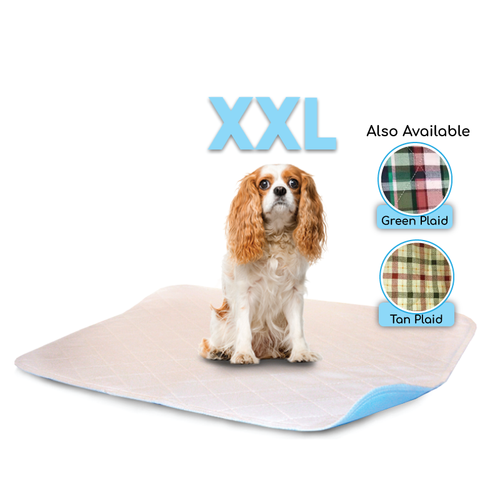 https://cdn11.bigcommerce.com/s-e8vkp3uz7r/images/stencil/500x659/products/119/413/XXL-36x36-washable-dog-pee-pad-in-white-green-and-tan-color__23081__94753.1632492099.png?c=1