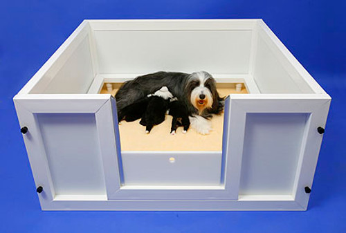 Jonart Whelping box with Dog Jonart Whelping box with Dog
