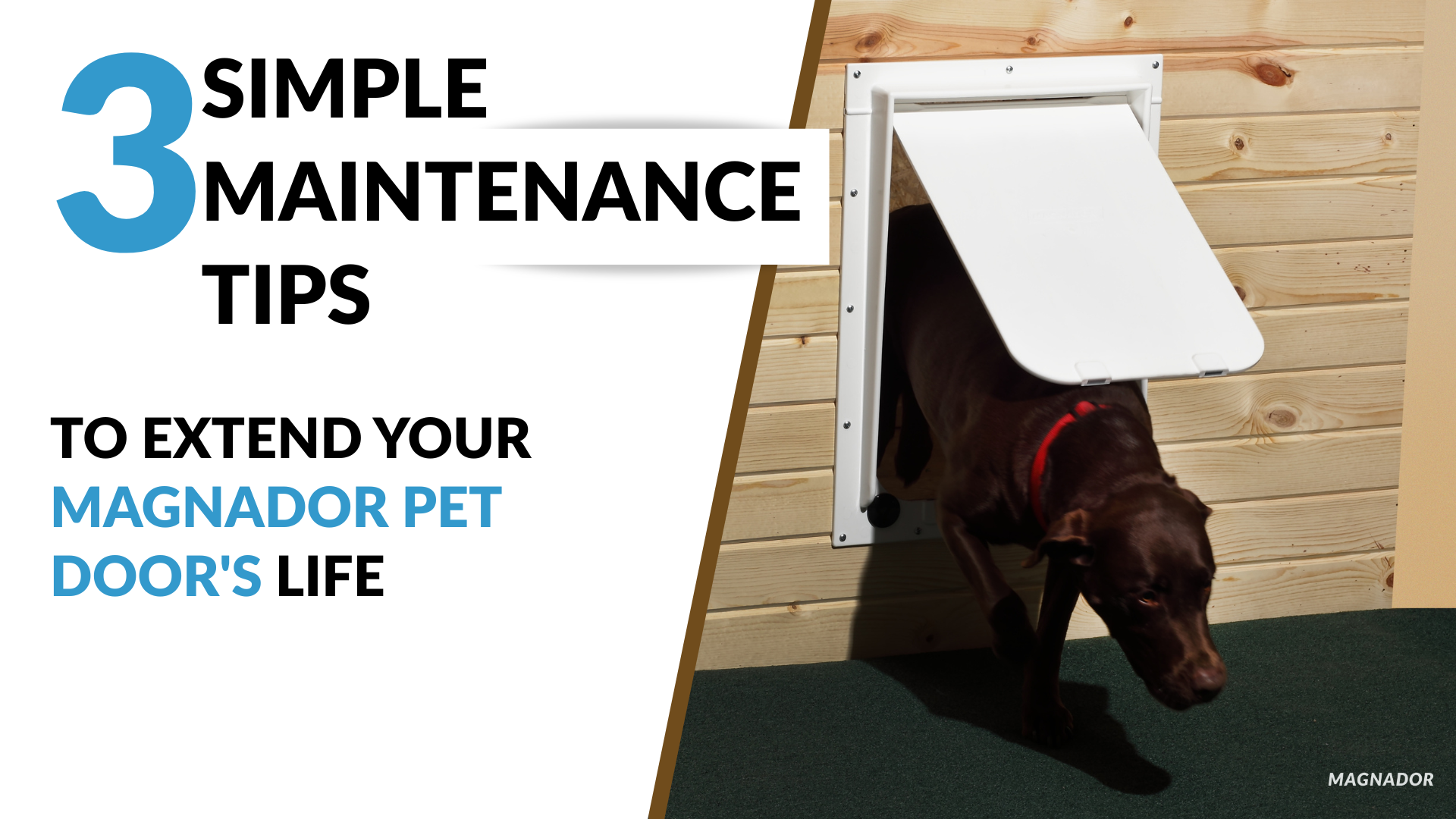 3 Simple Maintenance Tips to Extend Your Magnador Pet Door's Life
