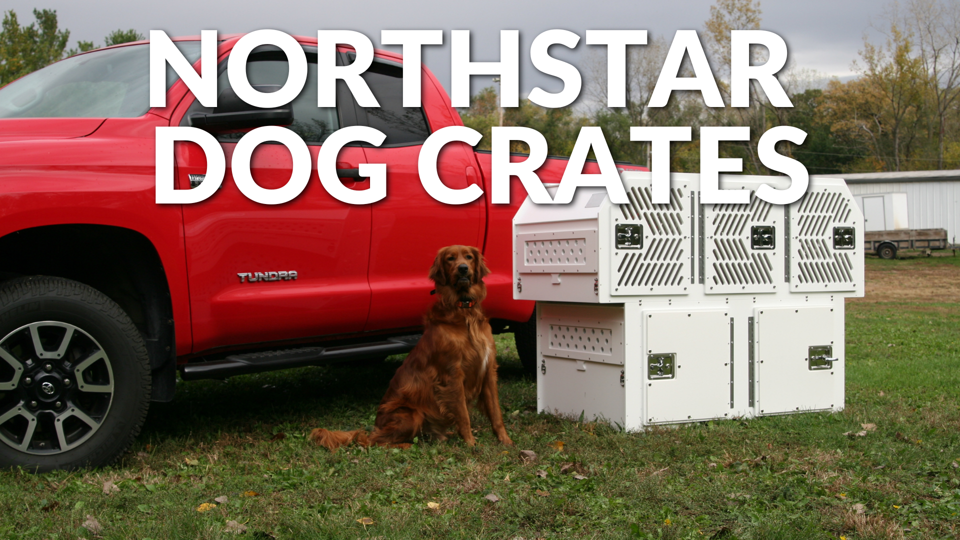 NorthStar Dog Crates: The Complete Guide to Choosing the Right Dog Transport Box for Your Vehicle