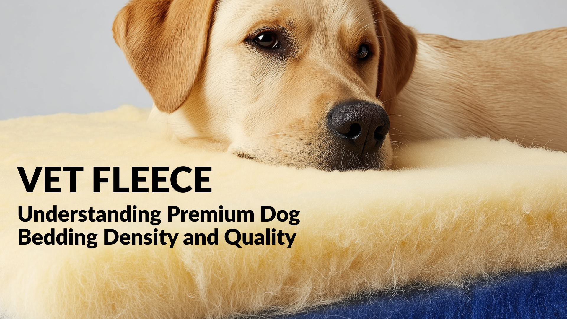 Why Vet Fleece Is Worth It: Understanding Premium Dog Bedding Density and Quality