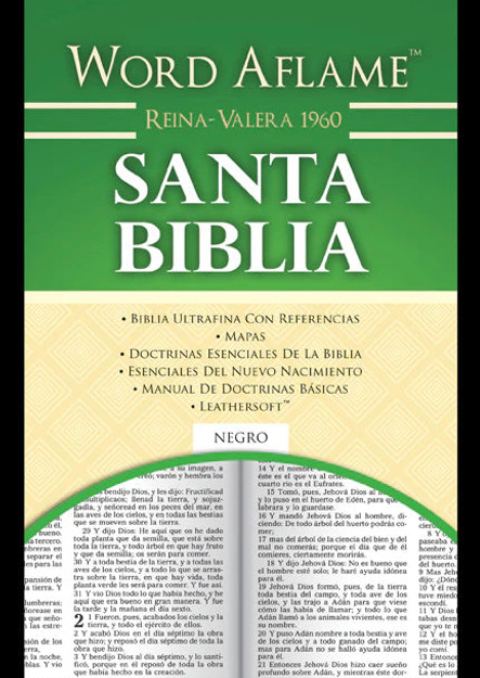 Santa Biblia RVR 1960