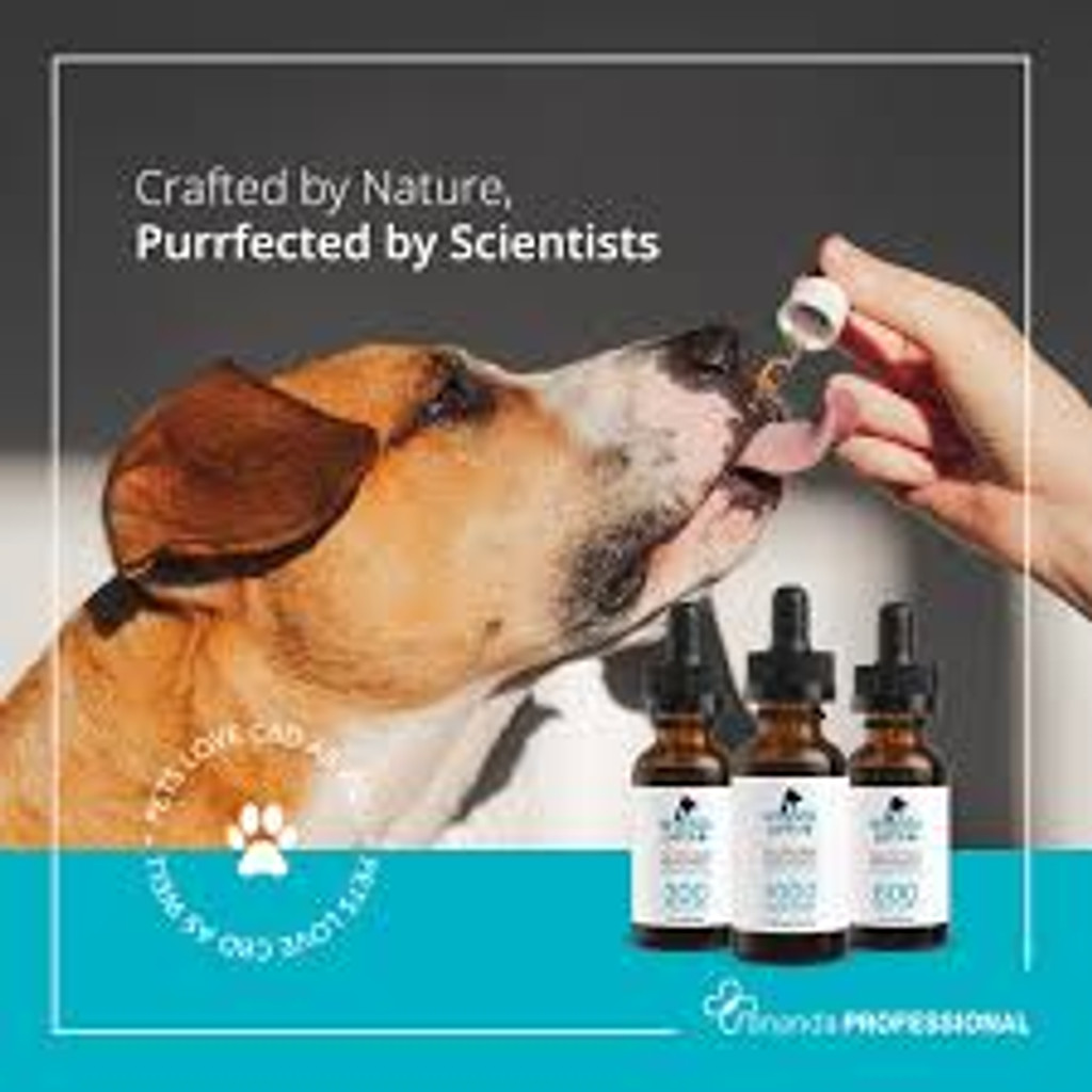 Dog & Cat Full Spectrum Tincture for pets