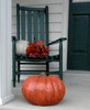 This hand-sculpted Athena Garden Allydia's Pick Pumpkin is made from Cast stone concrete. This pumpkins unique stem and texture makes for a rustic addition to your outdoor fall decor. 
Garden Decor, DIY concrete pumpkins, Stone Pumpkins Athena Garden, Cast stone garden pumpkins, outdoor concrete pumpkins, halloween outdoor decorations, Fall Pumpkin Decor