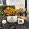 Athena Garden hand-sculpted Thanksgiving pumpkin planter set of 3. Rustic design with an antique stain that endures for many seasons to come. Strong durable concrete pumpkins made in the USA. The Thanksgiving pumpkins come in 3 sizes, the large features a planter with a Give Thanks pumpkin silhouette, the medium featuring a turkey, and the small is a plain original pumpkin. Perfect fall decor for your front stoop and outdoor landscape.
THANKSGIVING PUMPKIN PLANTER SET OF 3 WHITE