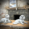 Laying Maltese