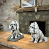 Sitting Maltese