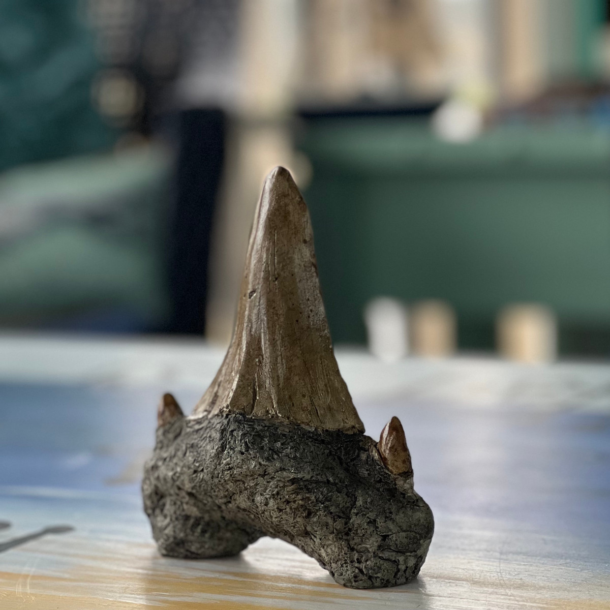 Sand Tiger Shark Tooth - Athena Garden