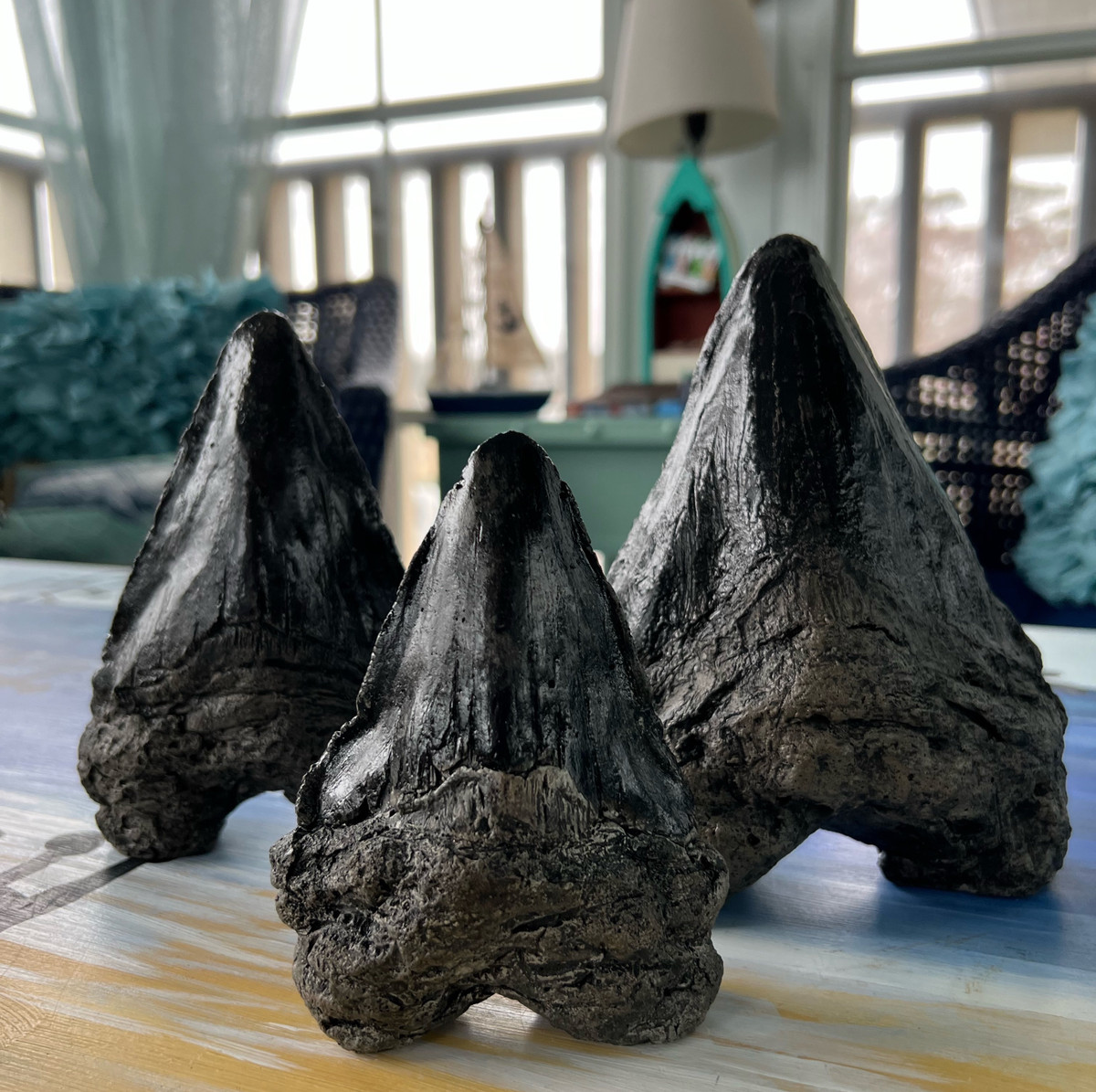 Set of 3 Shark Teeth - Athena Garden