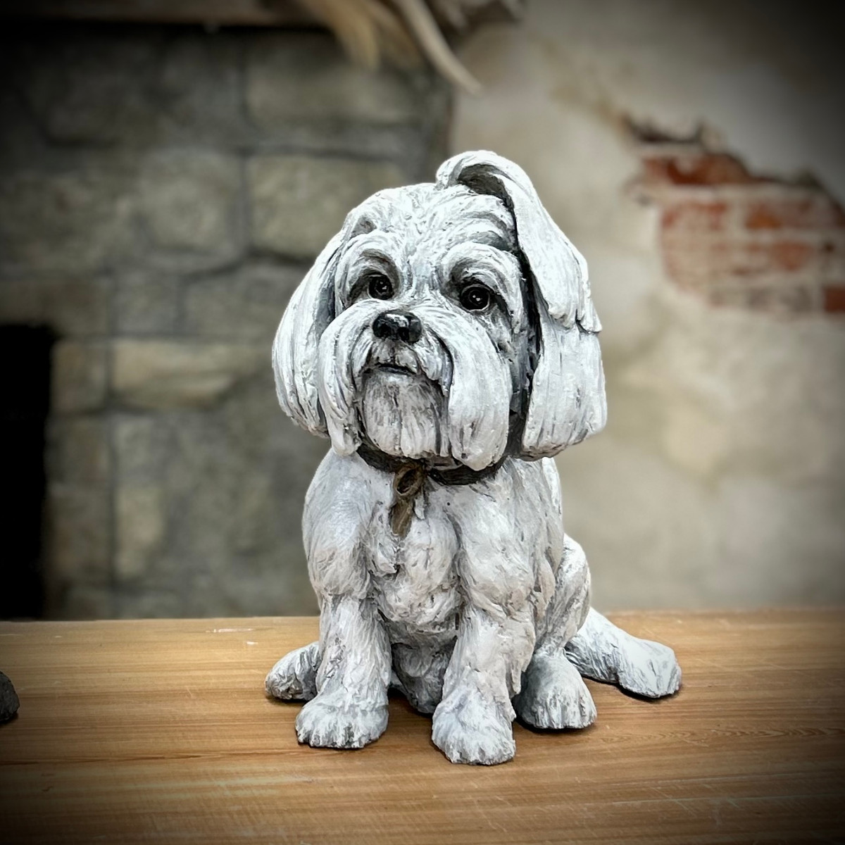 Sitting Maltese