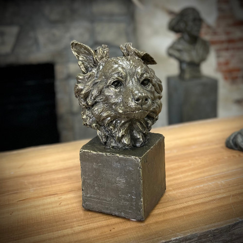 Miniature Australian Sheppard Bust