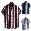 Striped Casual Slim Turn-down Collar Hawaiian Style Men's Short Sleeve Shirts