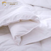 Bedding at 100% Cotton Filling 350GSM Microfiber Quilts For Four Seasons