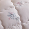 Bedding Stock Winter Soft Thick Plant Cashmere Warm Quilt Edredones