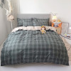 Aloe Vera Bed Sheet Brushed Four-piece Quilt Cover Set Bedding Luxury Velvet