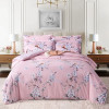 Brushed Four-piece Cotton Bed Sheet Quilt Cover Set Bedding Luxury Velvet