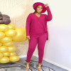 Women's Casual Plus Size Two Piece Set Solid Color Long Sleeve Knit Suit