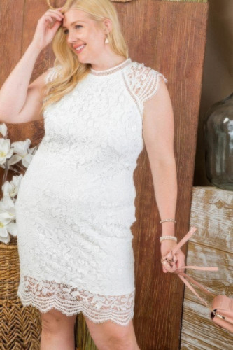 Lace Crochet Mini Raglan Dress With Zipper Back-44876