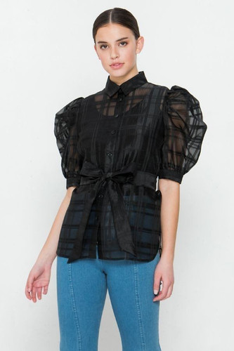 A See-thru Mini Length Organza Top-28303