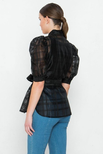 A See-thru Mini Length Organza Top-28303