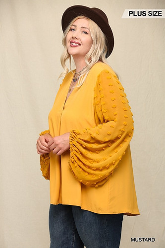 Woven And Textured Chiffon Top With Voluminous Sheer Sleeves-41494