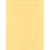 Light Parchment 500 Pack (8 1/2" x 11")