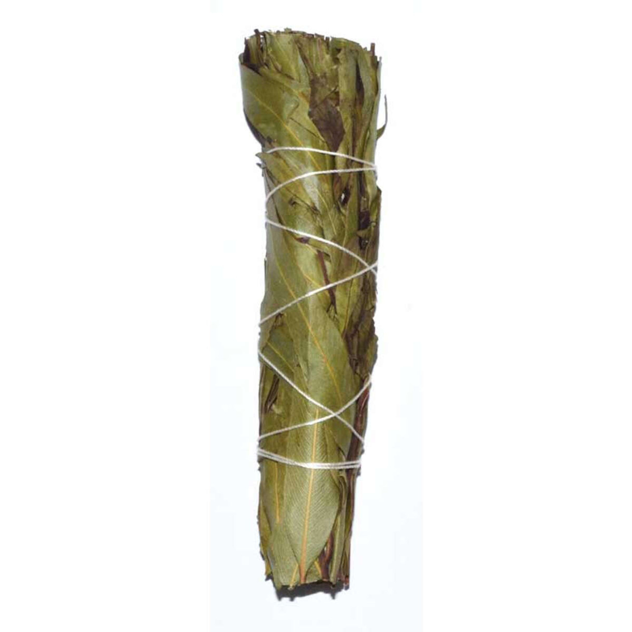 Eucalyptus Citridora Smudge Stick 4"